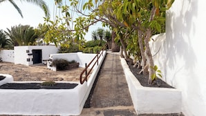 Un chemin mène à un bâtiment blanc doté d’une porte, entouré de verdure et de palmiers.