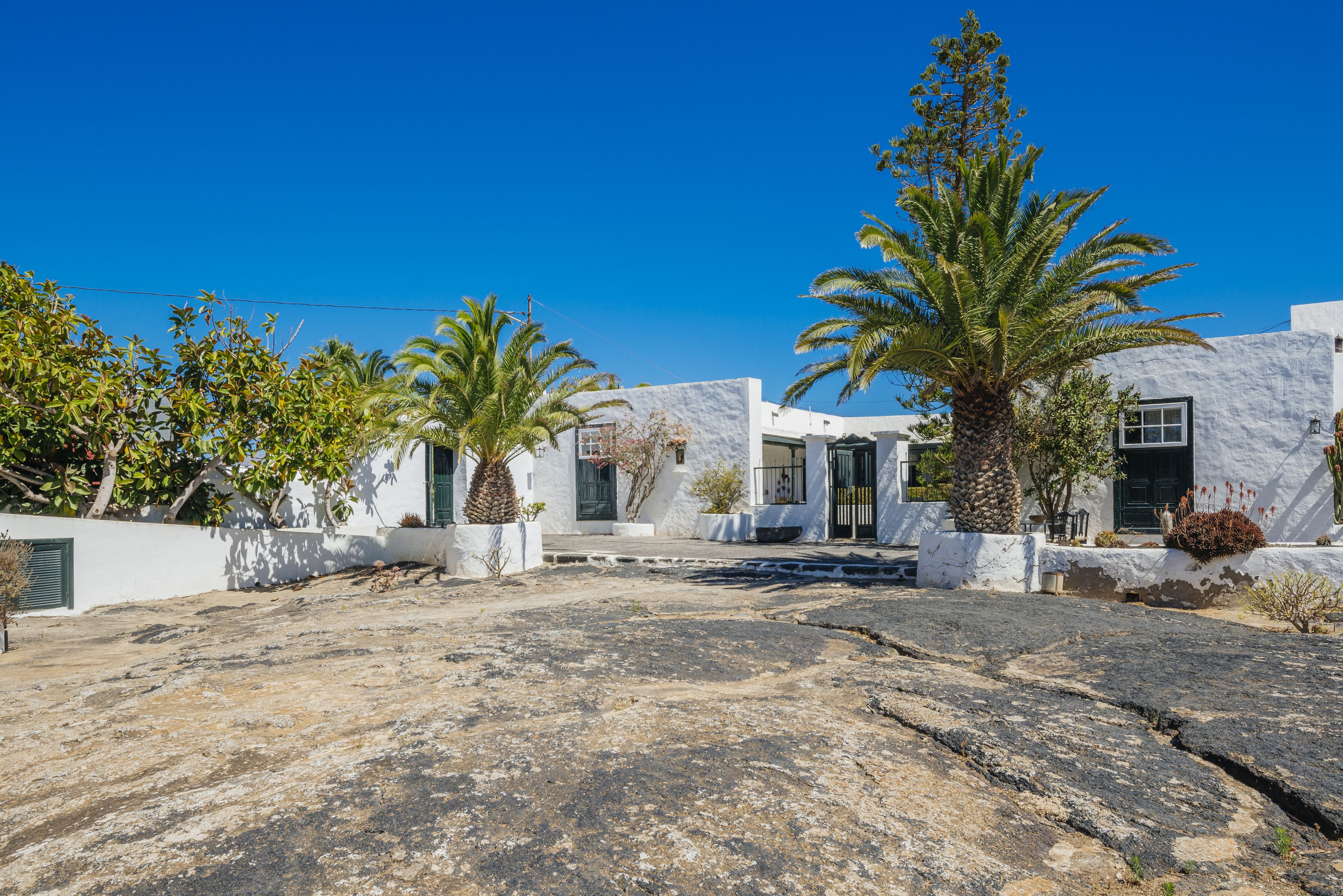 Foto - Hotel EL GRIFO