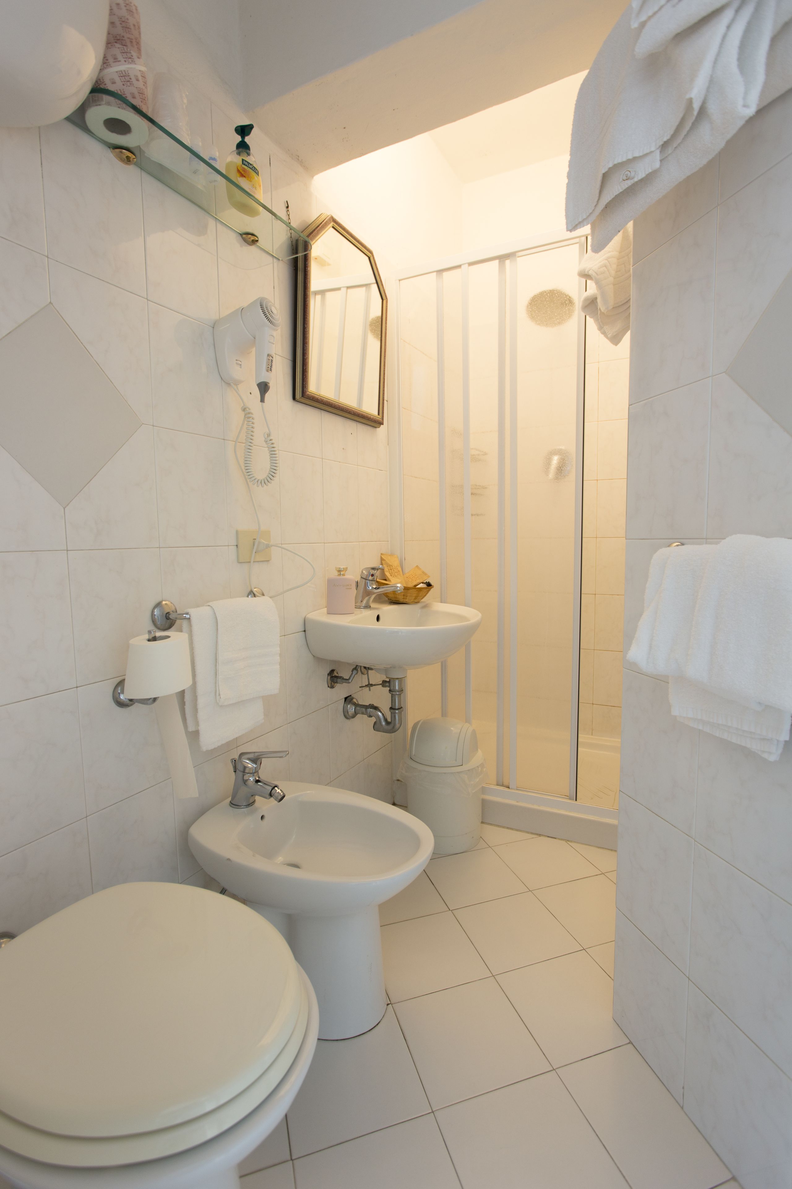 shower, hair dryer, bidet, towels