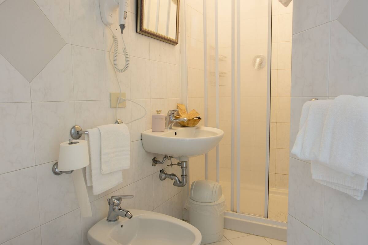 shower, hair dryer, bidet, towels