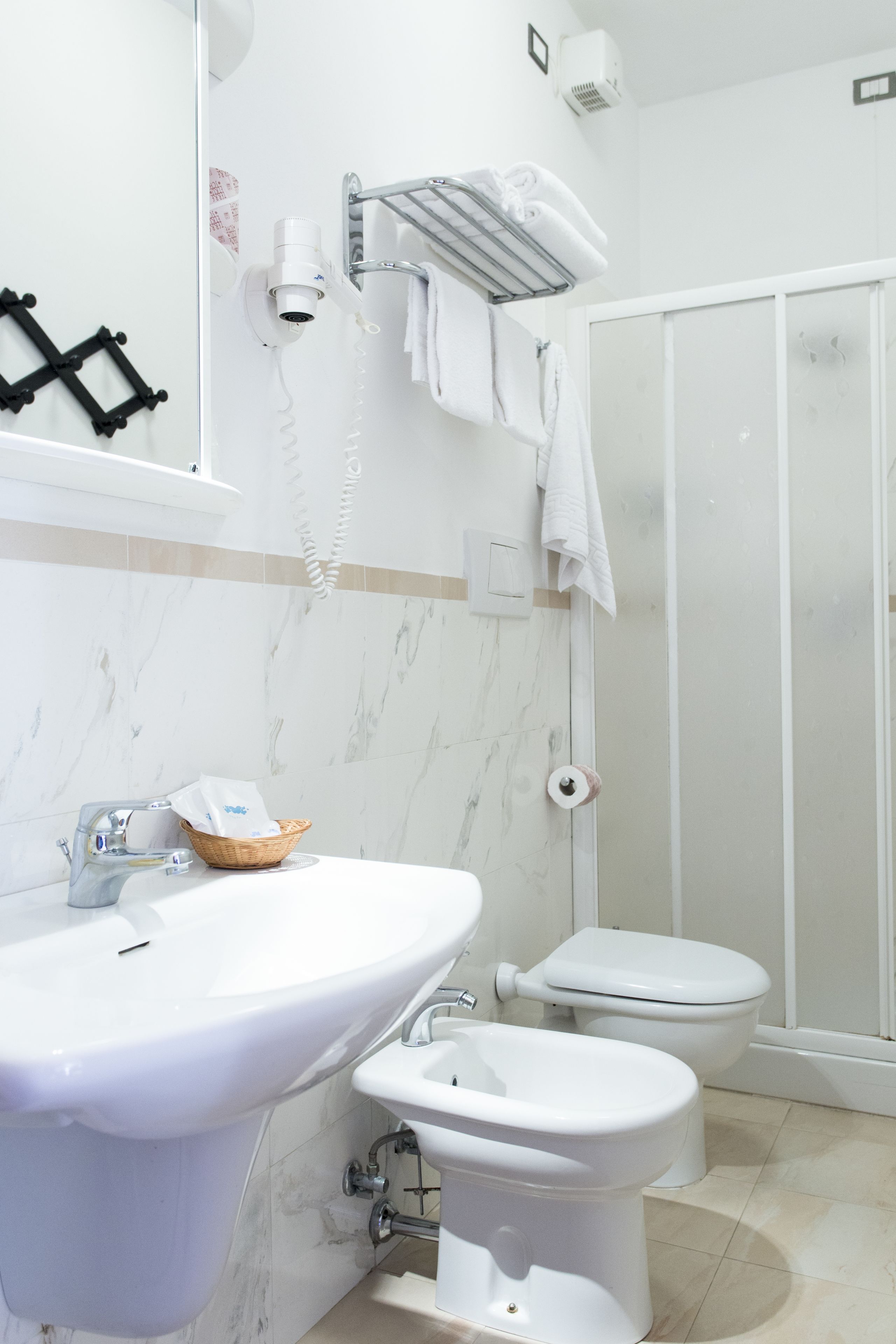 shower, hair dryer, bidet, towels