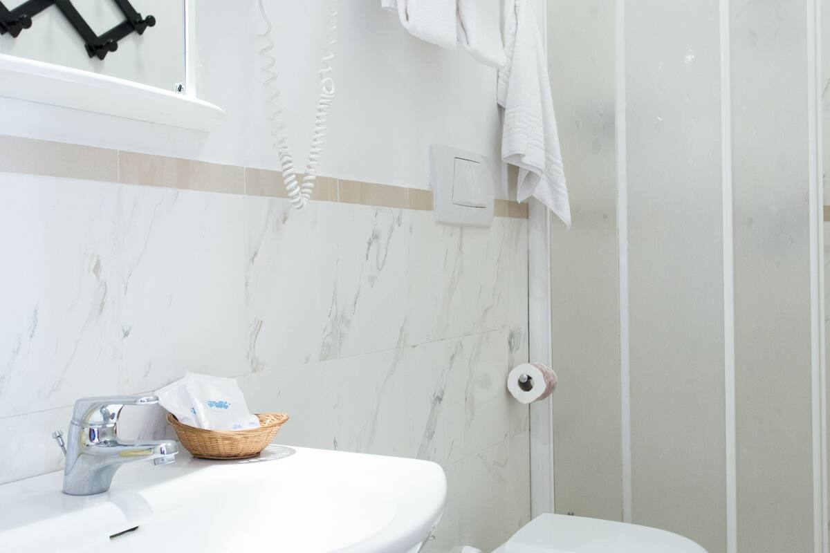 shower, hair dryer, bidet, towels