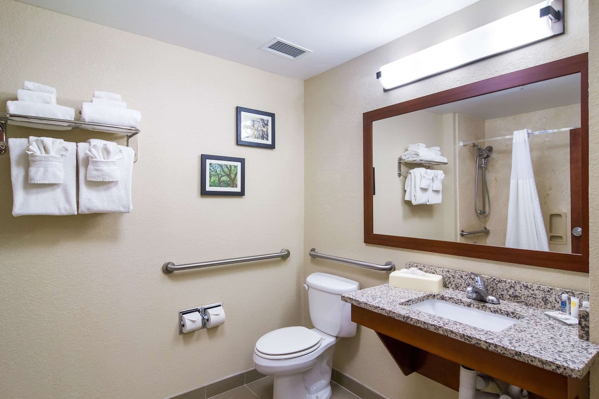 suite, 1 king bed with sofa bed, accessible, non smoking | bathroom | combined shower/bathtub, hair dryer, towels