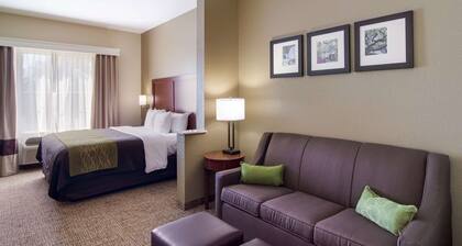 Comfort Inn Blackshear Hwy 84