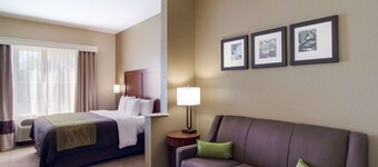 Comfort Inn Blackshear Hwy 84