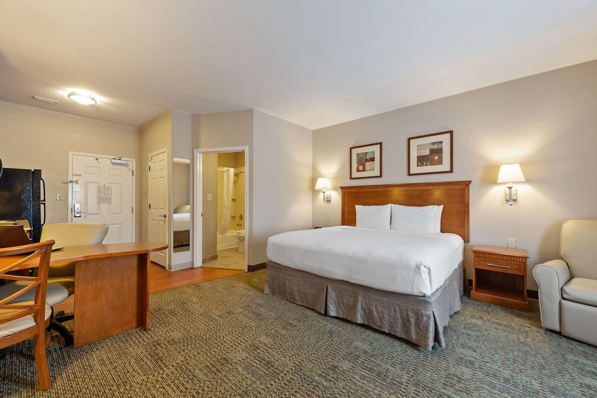 Estudio estándar, 1 cama de matrimonio grande, no fumadores, frigorífico y microondas | 1 dormitorio, decoración individual, mobiliario individual y escritorio