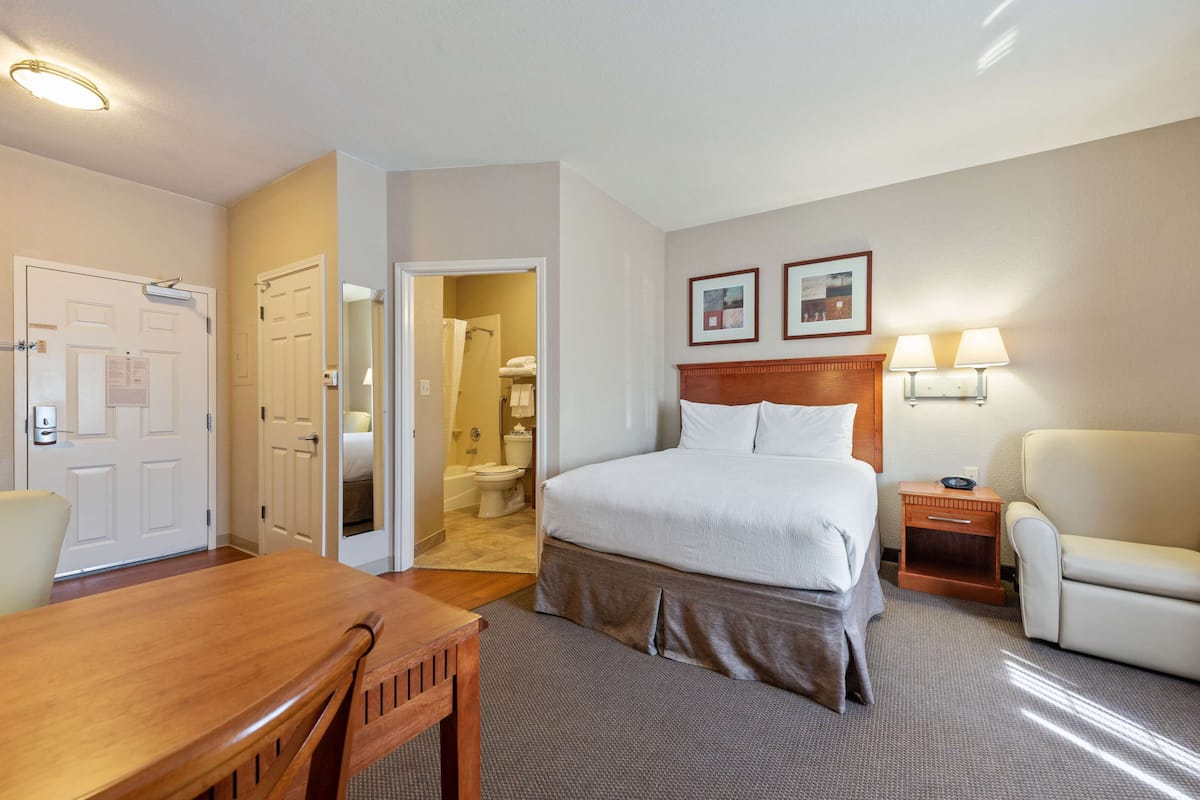 Estudio estándar, 1 cama de matrimonio, no fumadores, frigorífico y microondas | 1 dormitorio, decoración individual, mobiliario individual y escritorio