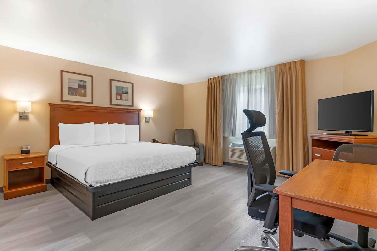 Standard-Studio, 1 King-Bett, Nichtraucher, Kühlschrank und Mikrowelle
