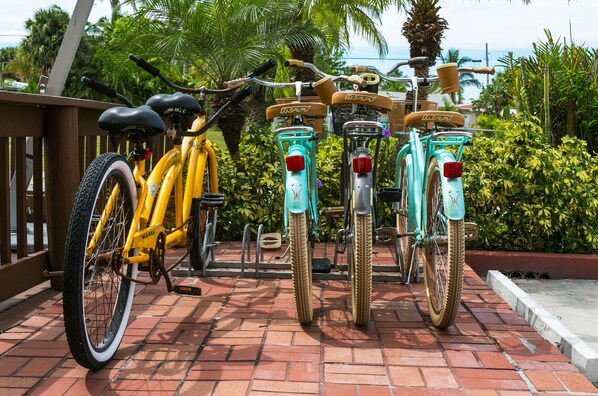 Una fila de bicicletas con cestas, estacionadas sobre un camino de ladrillos con palmeras y follaje al fondo.