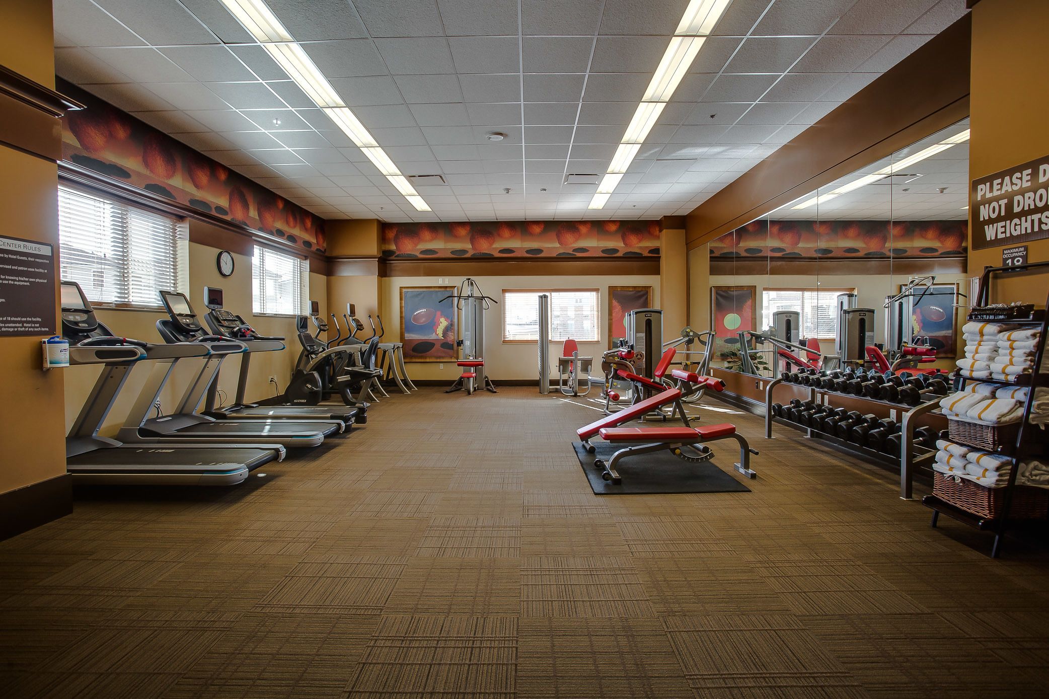 A gym with treadmills, elliptical machines, and free weights.