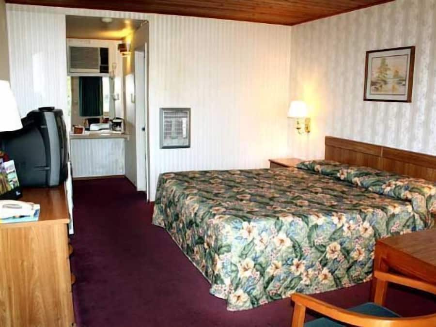 Single Room, 1 King Bed