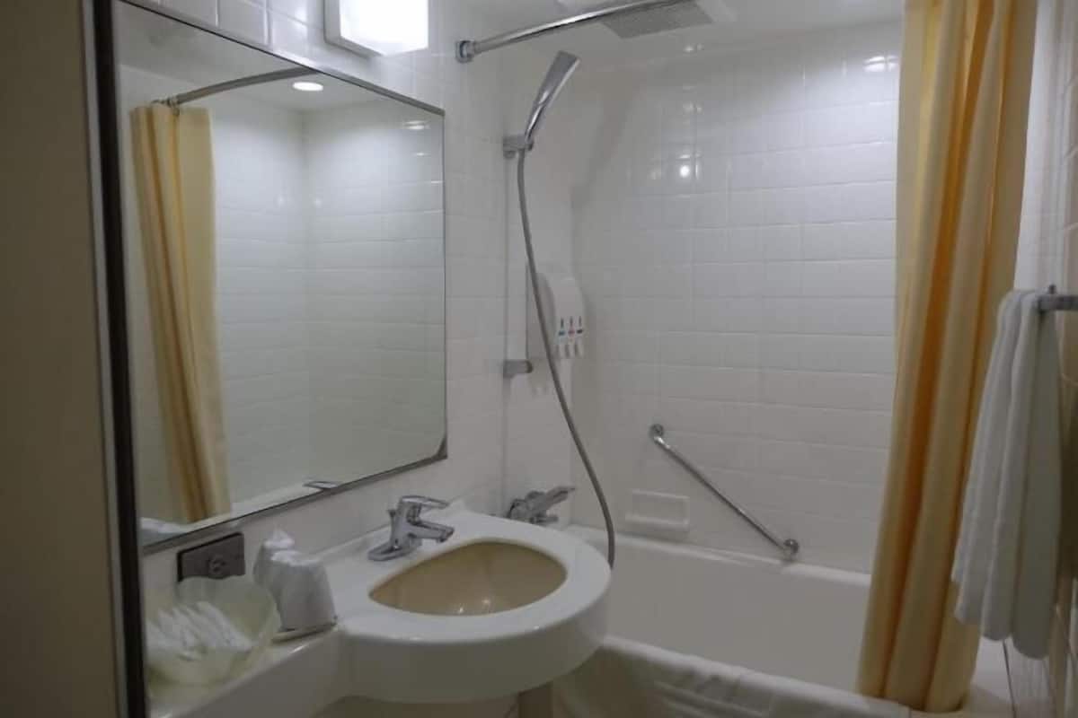 Bañera con ducha, artículos de tocador gratuitos, secador de pelo