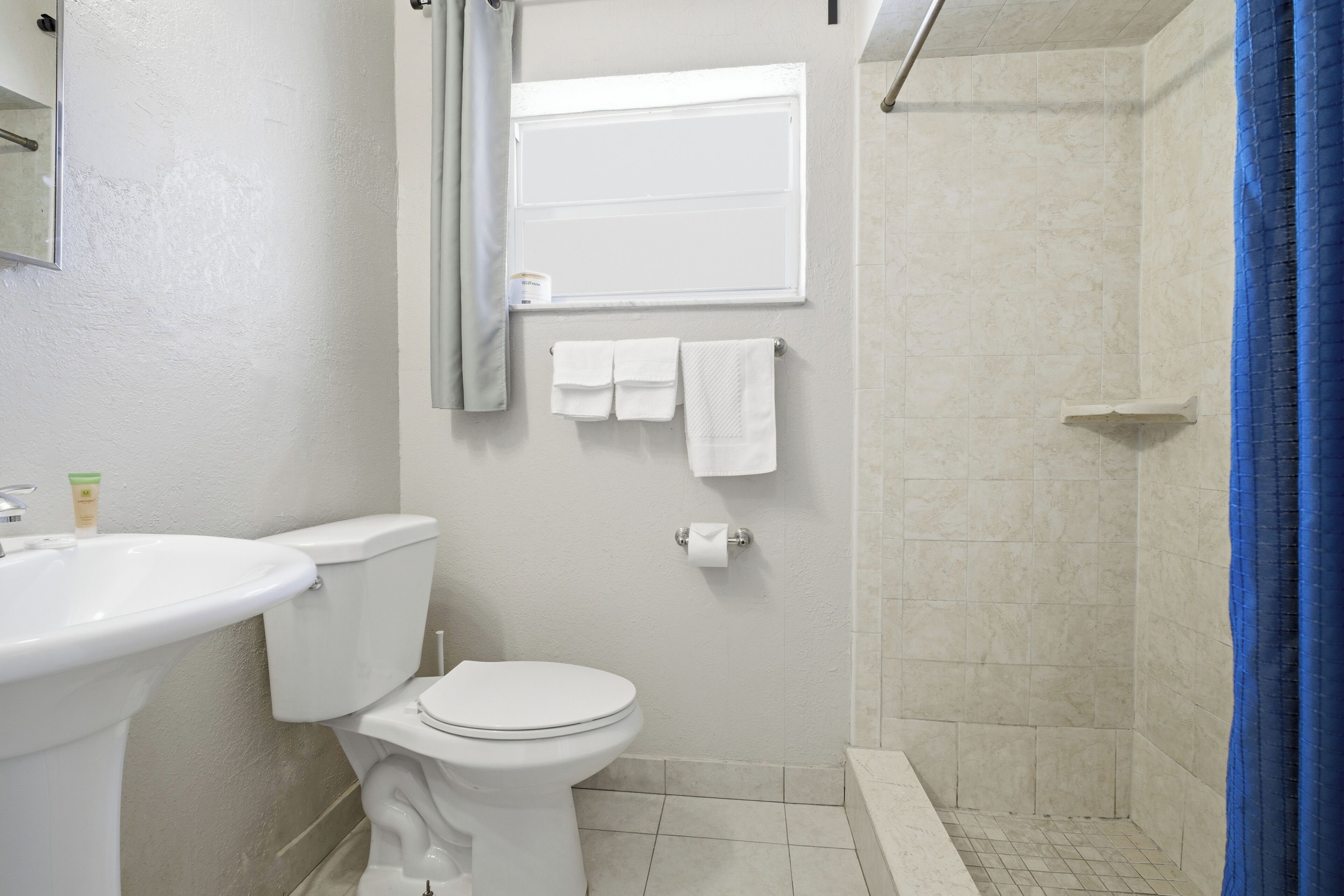 Une salle de bain avec des toilettes, un lavabo et une douche.