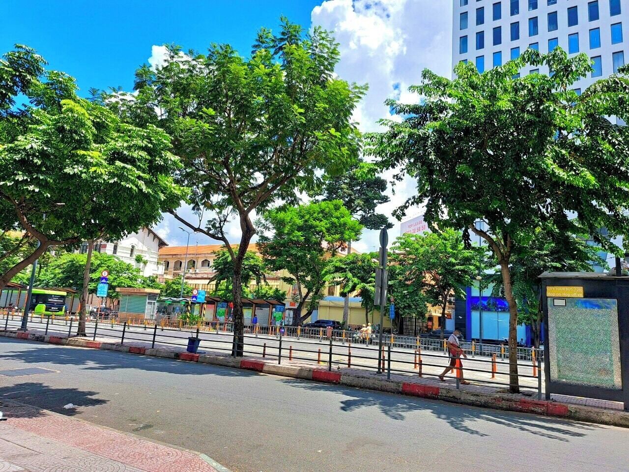 Une rue bordée d’arbres et un arrêt de bus.
