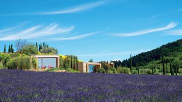 Suite Nature Lavande | Garden view