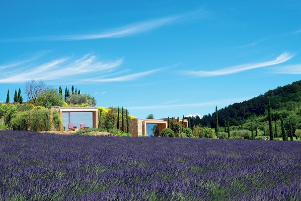 Suite Nature Lavande | Garden view - Domaine des Andéols (Saint-Saturnin-les-Apt)