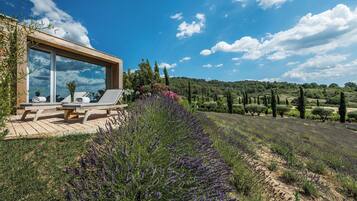 Suite Nature Lavande | View from room