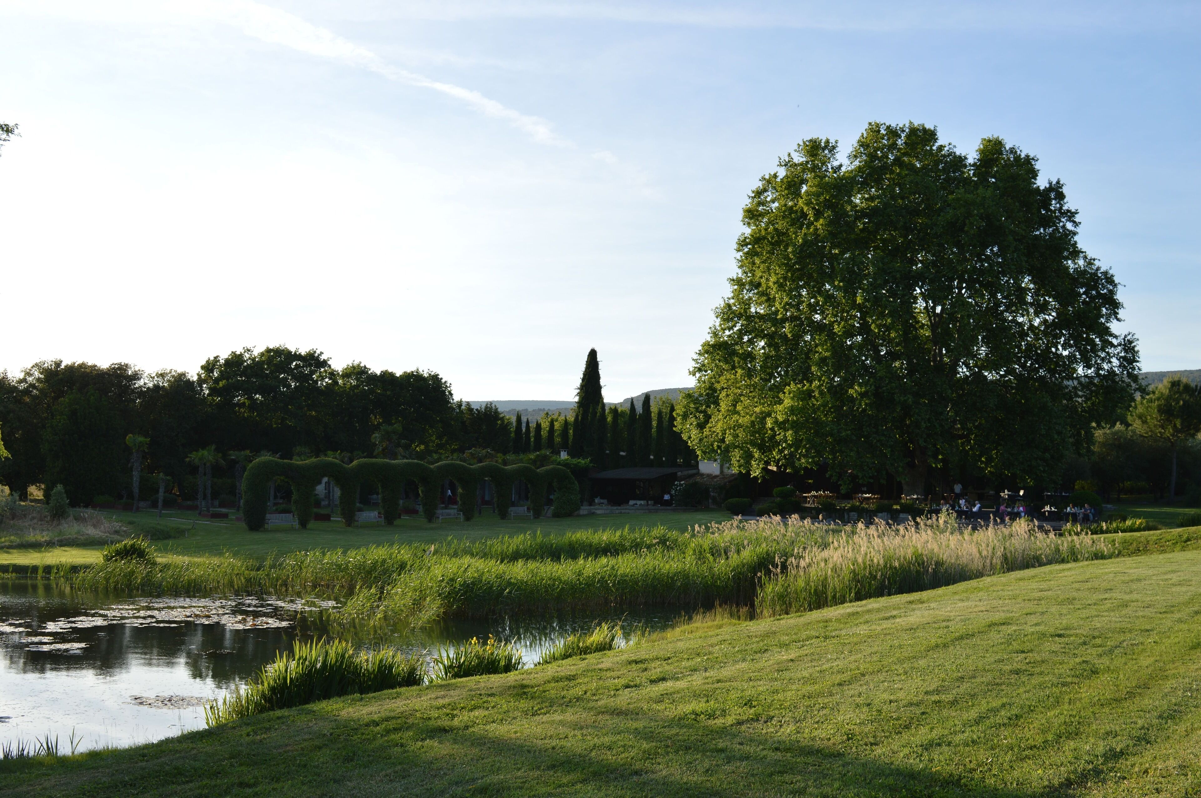 Un parc paisible avec un étang, des haies soigneusement taillées et un grand arbre.