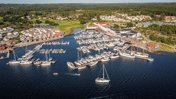 An aerial view of a marina with numerous boats docked, surrounded by residential buildings and greenery.