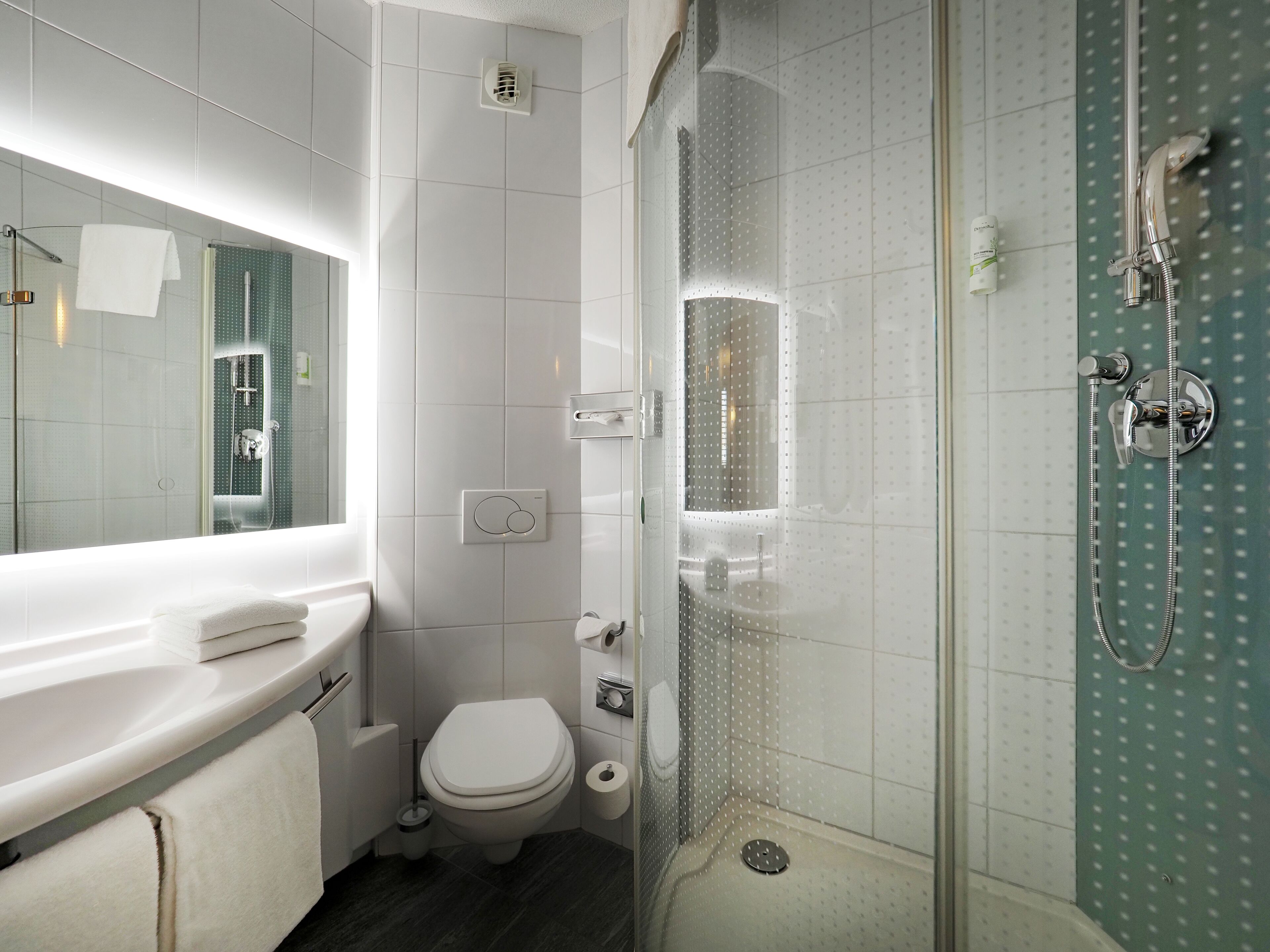 A modern bathroom with a glass shower enclosure, a white toilet, and a vanity with a mirror.
