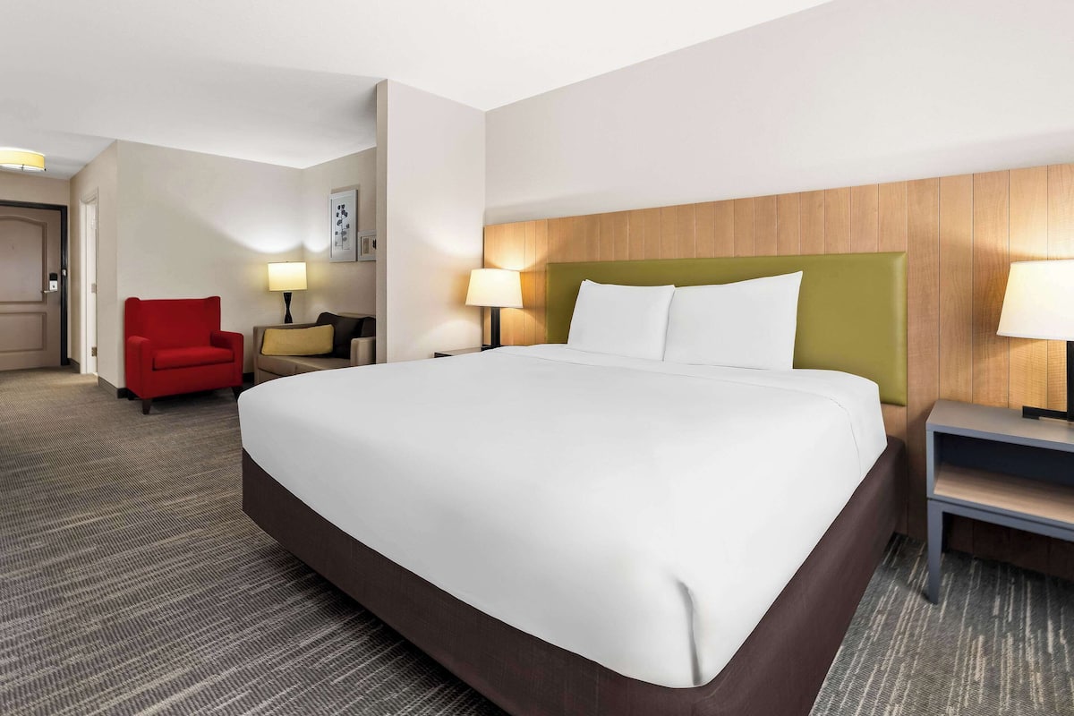 Suite estudio, 1 cama King size, para no fumadores | 1 habitación, ropa de cama de alta calidad y edredón