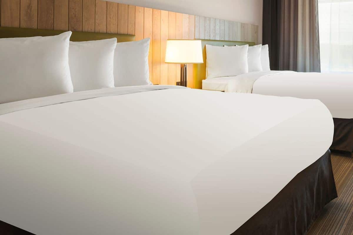 Premium bedding, down duvets, pillow-top beds, desk