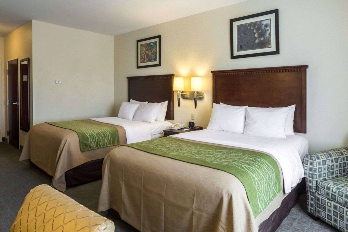 Ett hotellrum med två sängar, ett nattduksbord, en lampa och en inramad tavla på väggen.