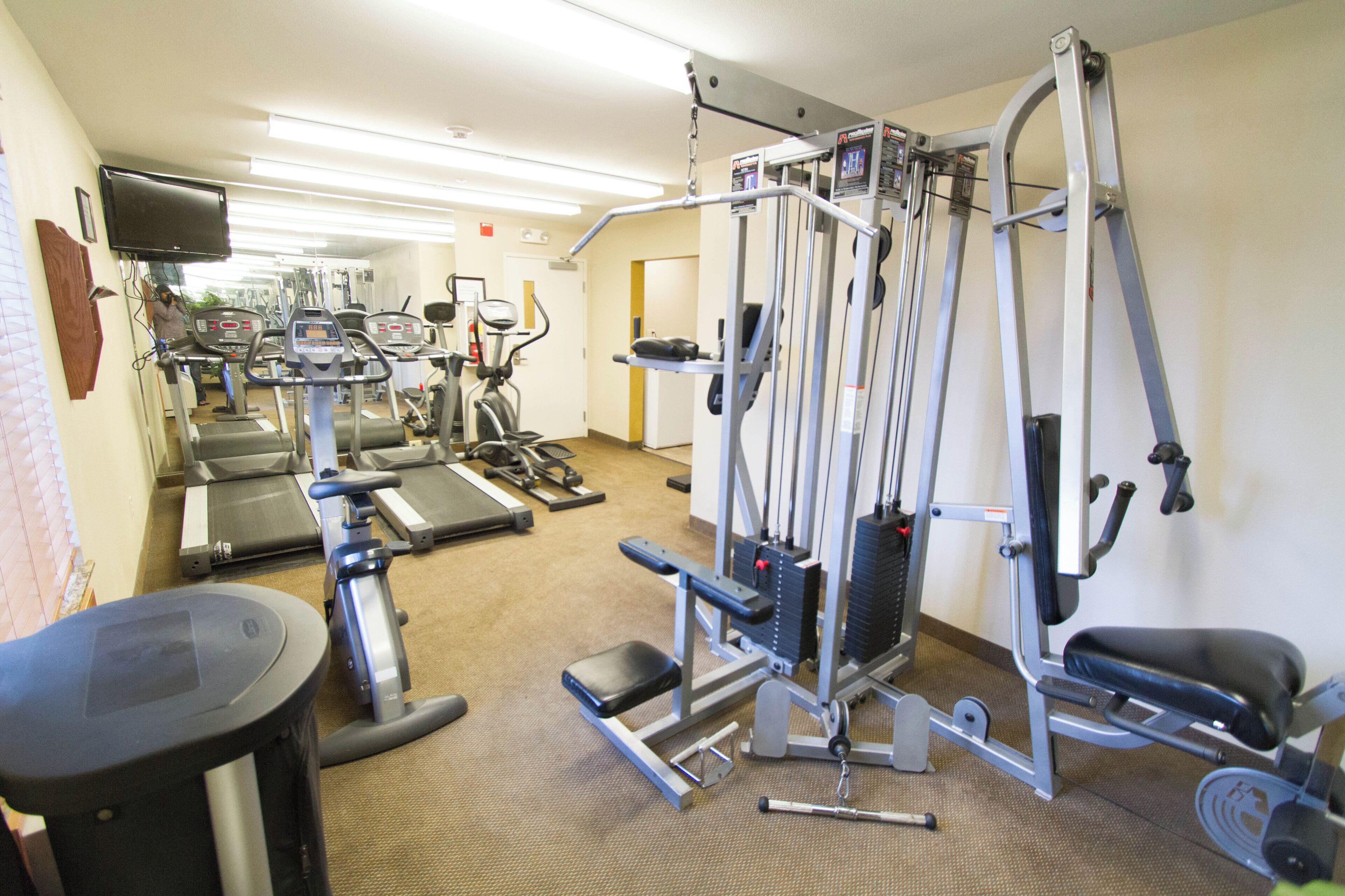 A gym with various exercise equipment including treadmills, elliptical machines, and weightlifting stations.