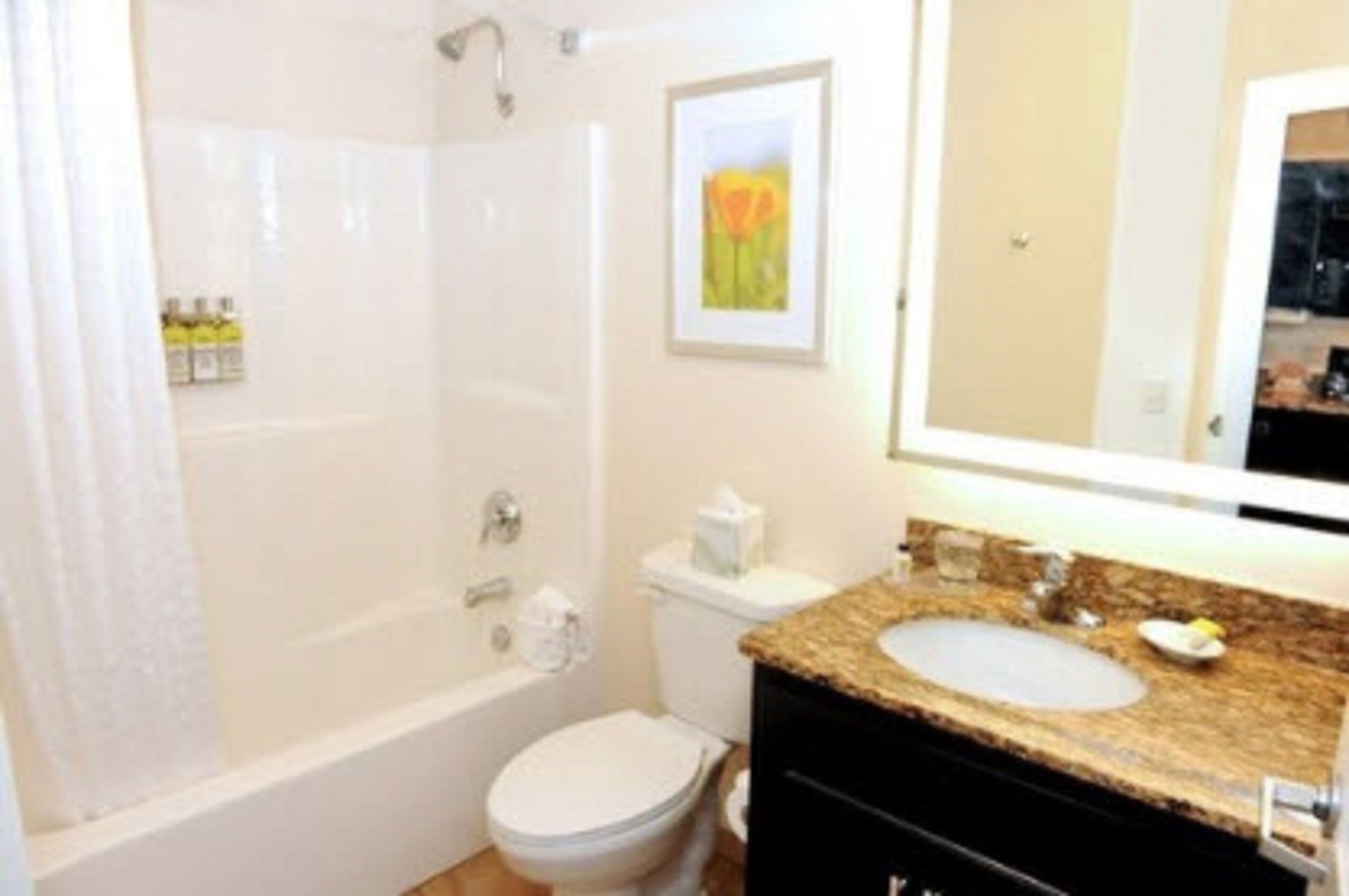 free toiletries, hair dryer, towels