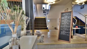 A reception area with a small dog sitting on the stairs, a chalkboard menu, and a plant in the foreground. - Hôtel Escale Oceania Lorient (Lorient)