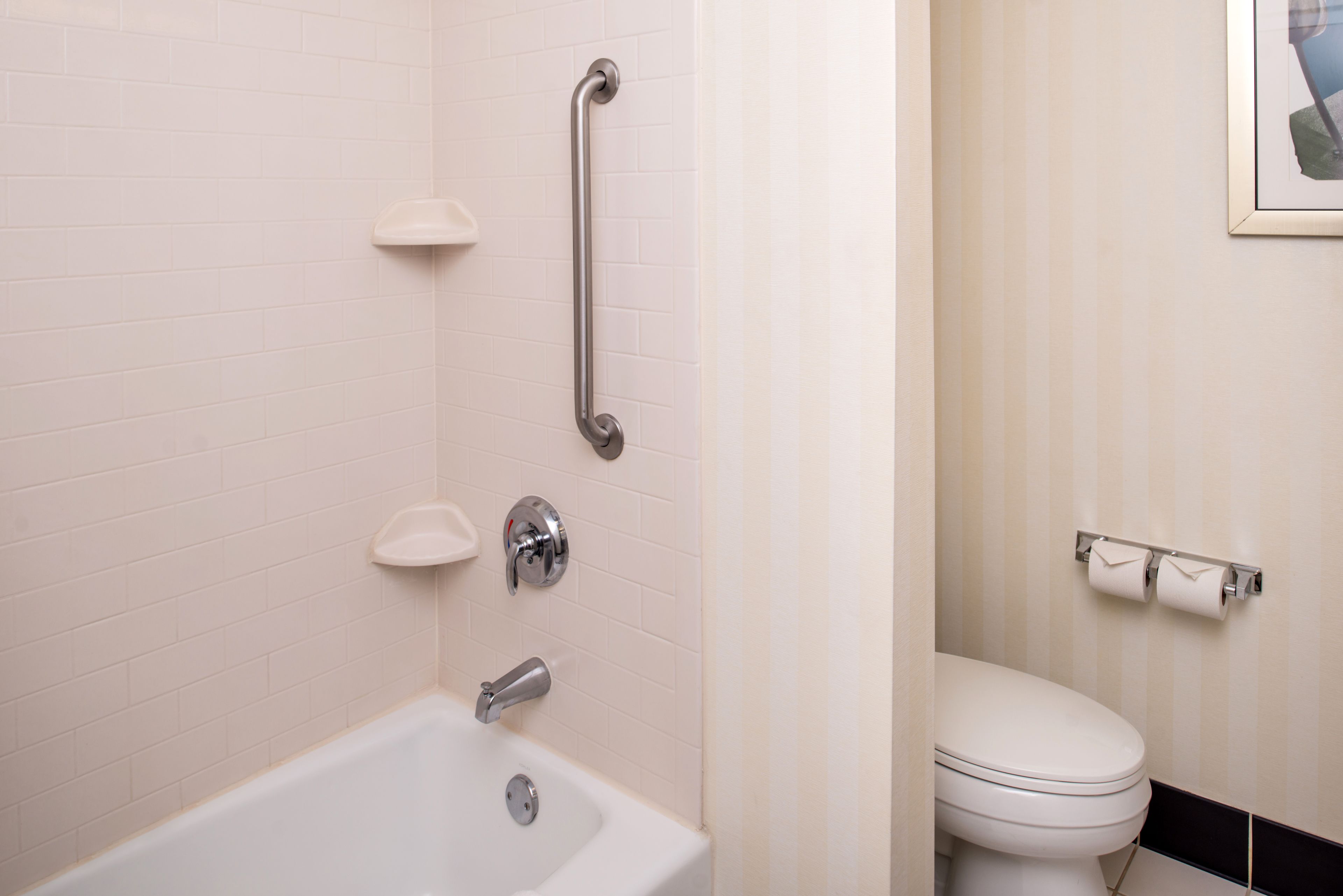 A bathroom with a bathtub, a toilet, a handrail, and a towel rack.