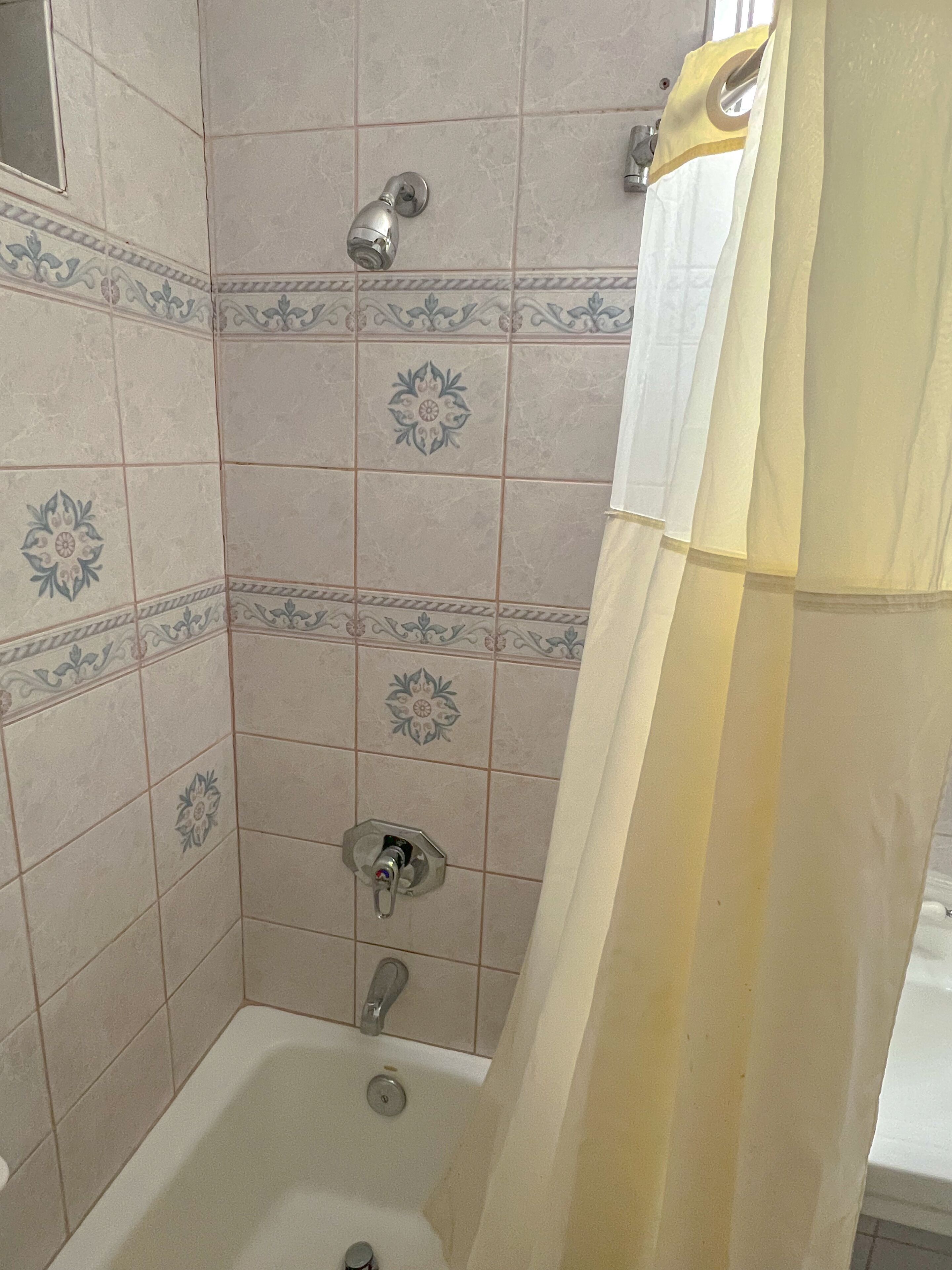 Een douche met glazen deur, betegelde wanden met bloemenmotieven en een bad.