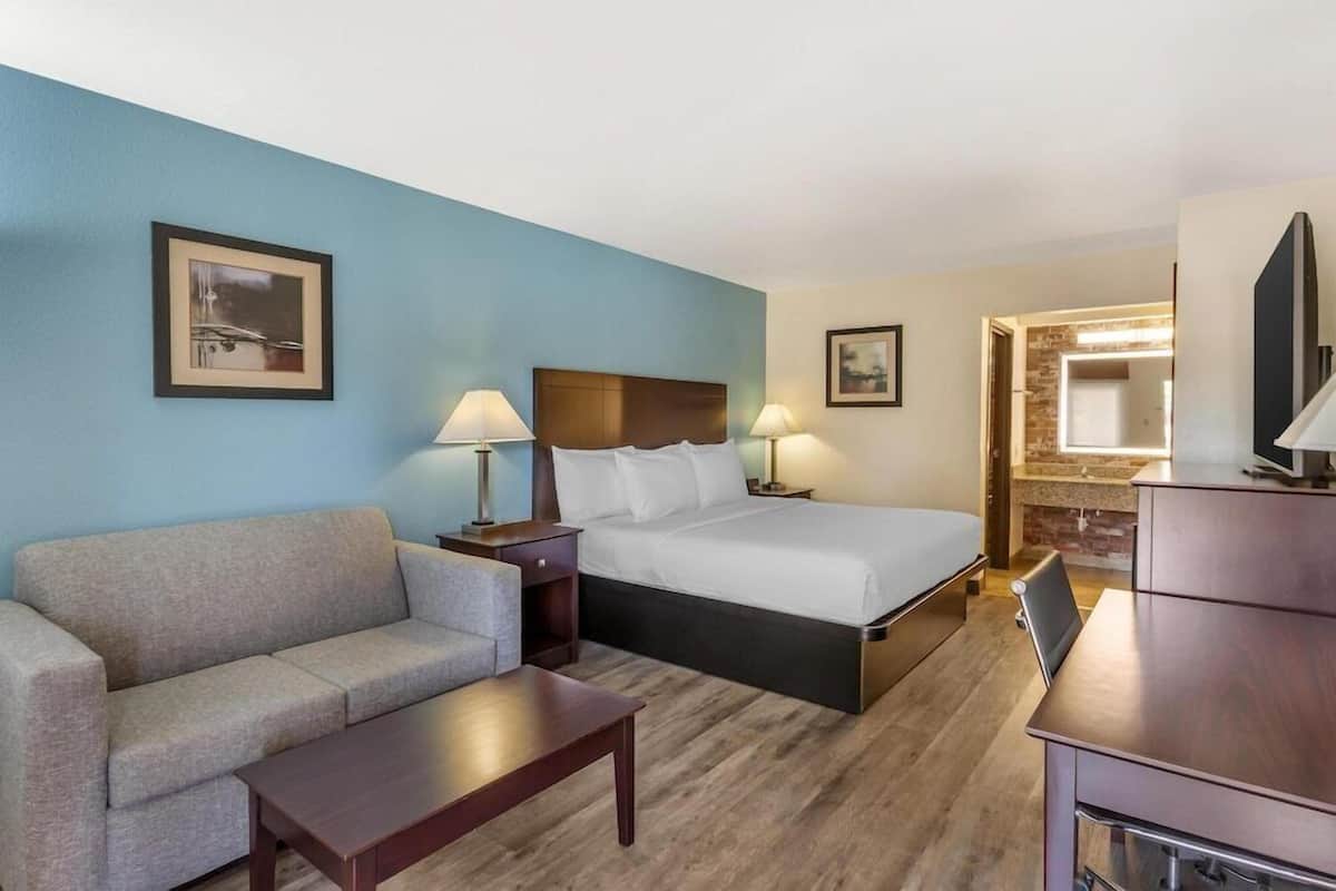 A hotel room with a bed, a sofa, a desk, two lamps, and a television.