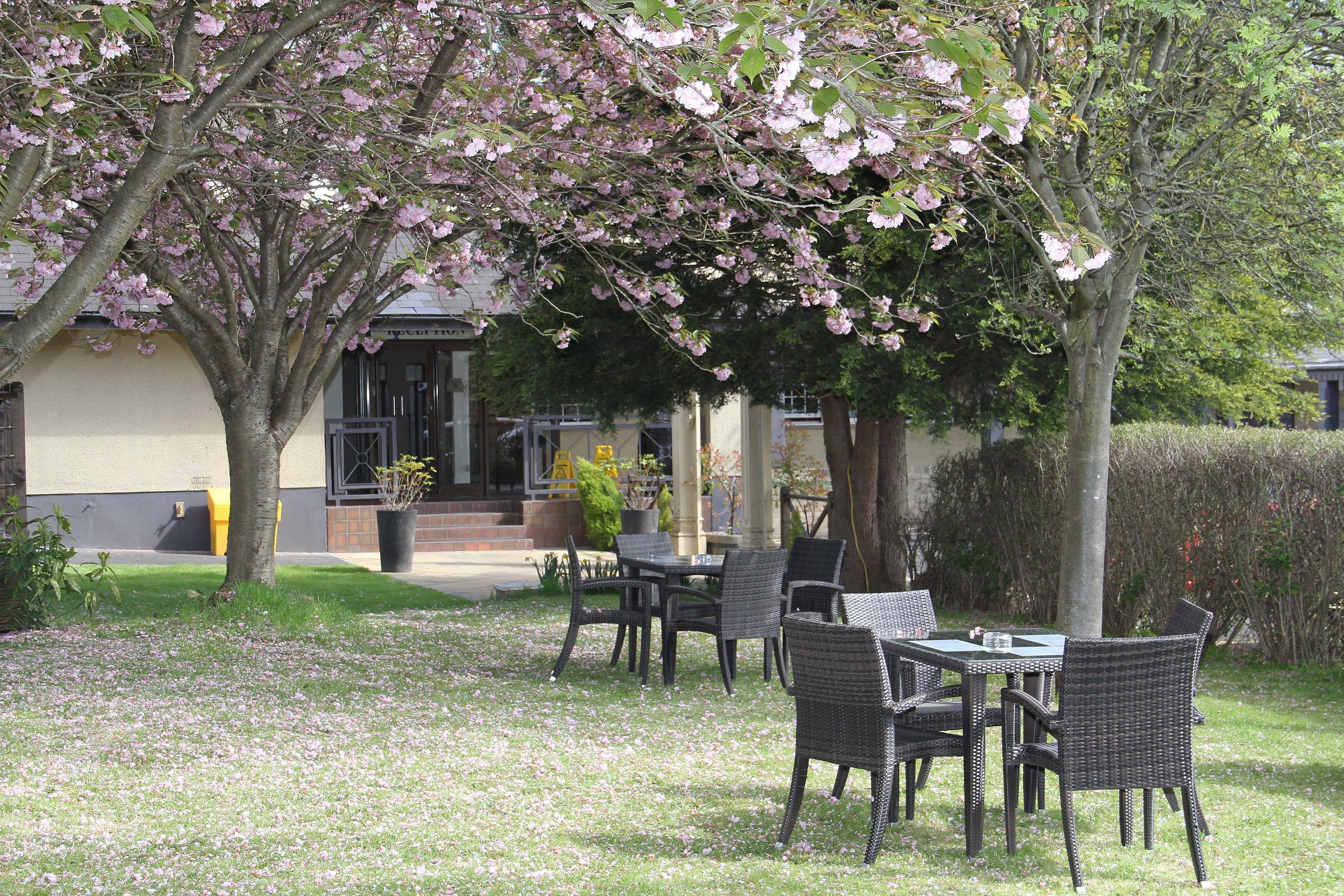 Accommodatievoorziening