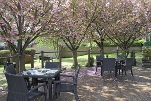 Σερβίρεται πρωινό, μεσημεριανό και βραδινό, με διεθνής κουζίνα 