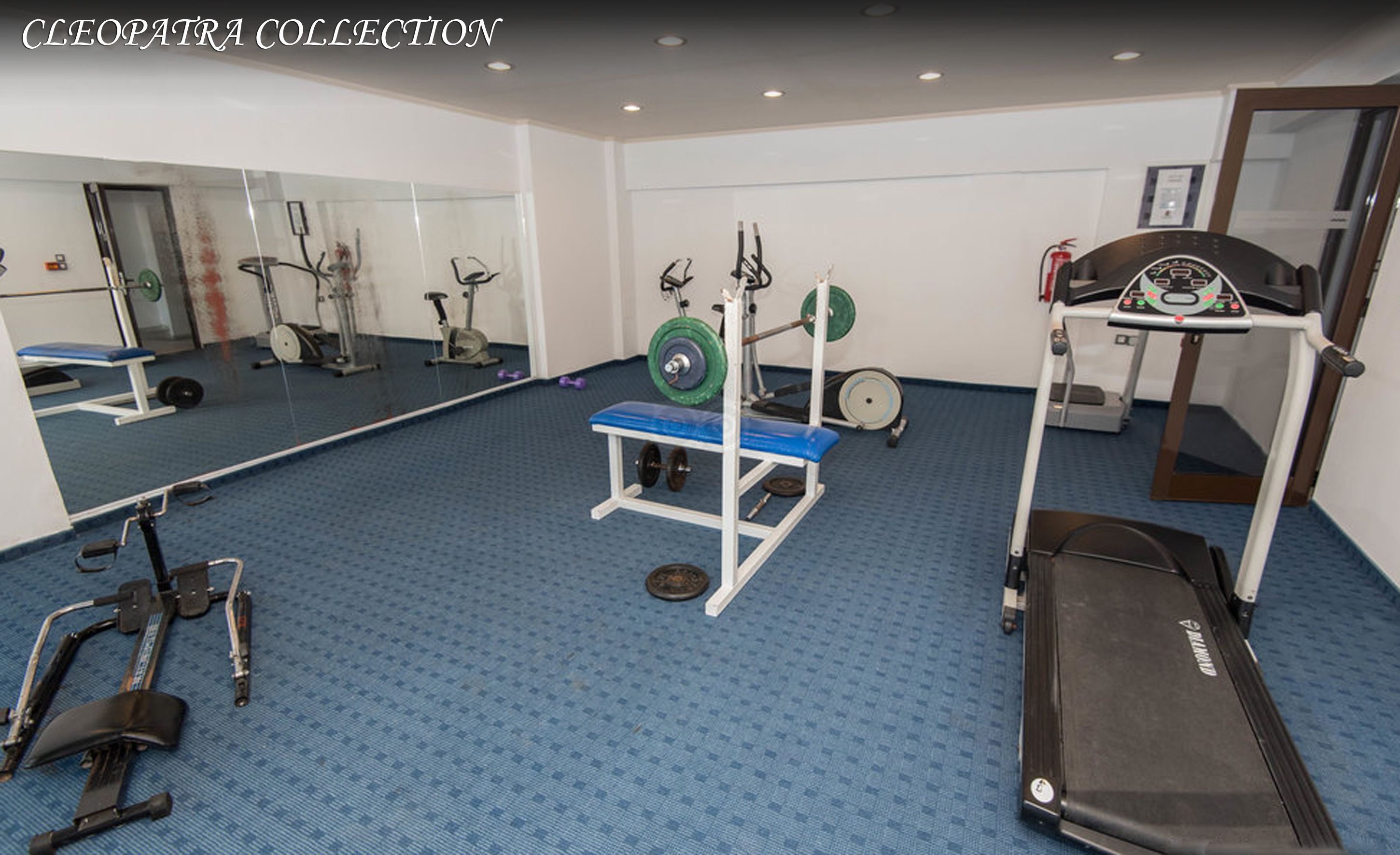 A gym with various exercise equipment including a treadmill, weight bench, and free weights.
