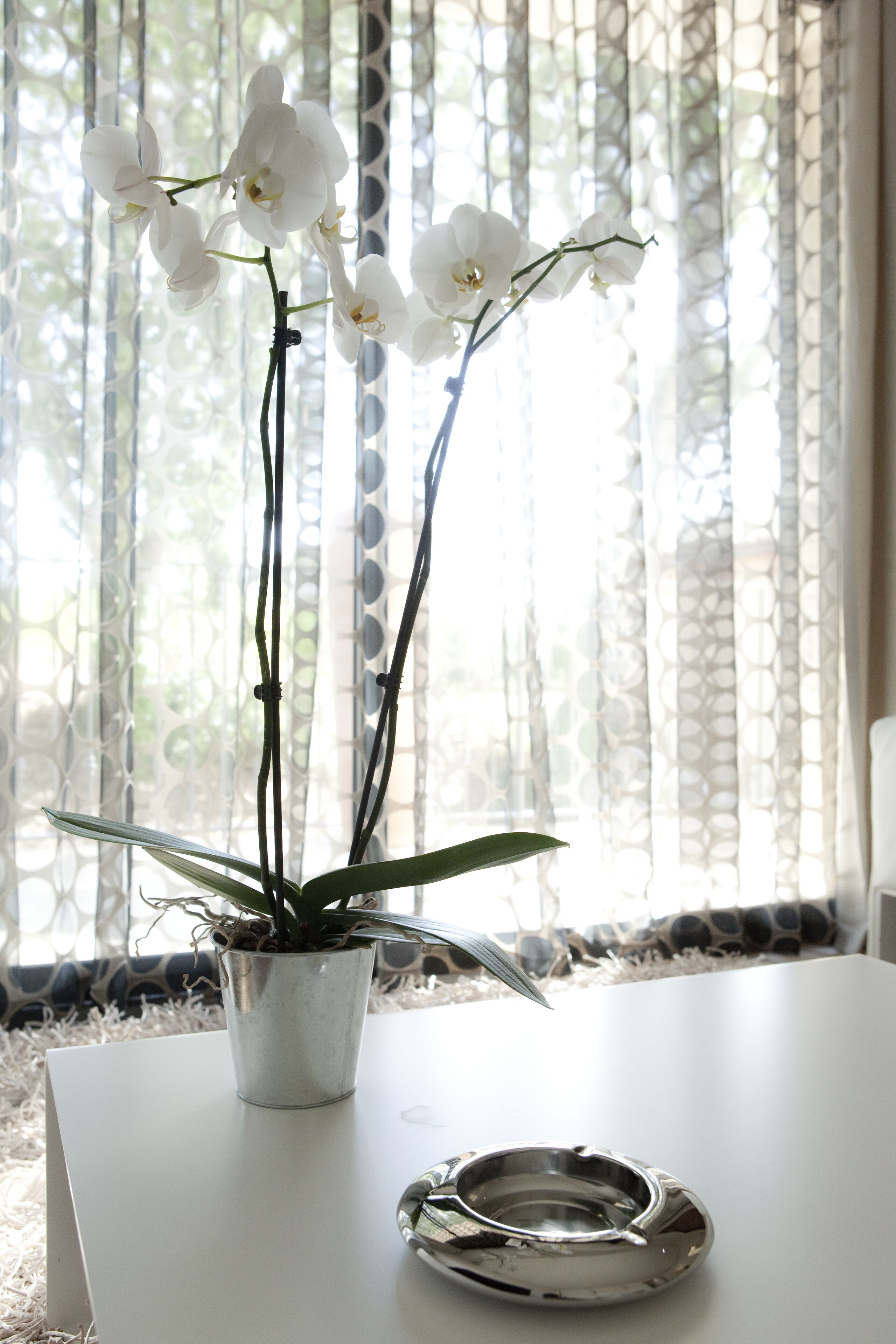 小型套房 | 客房景观