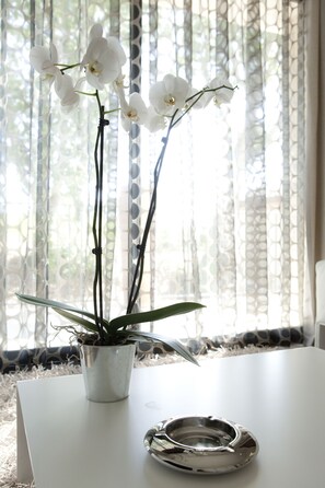 Junior Suite | View from room