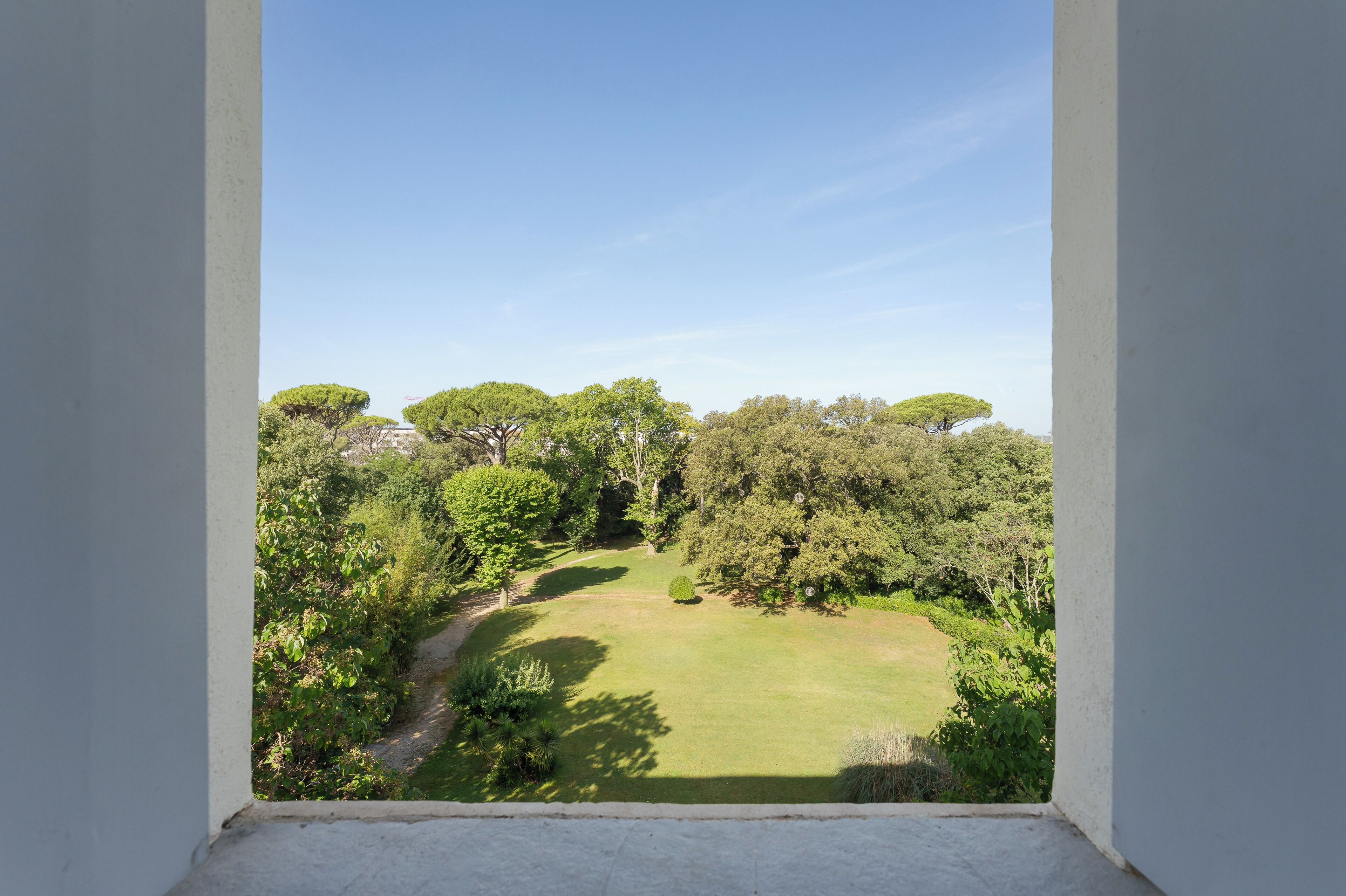 A view from a balcony overlooking a well-maintained garden with a variety of trees and a clear sky.