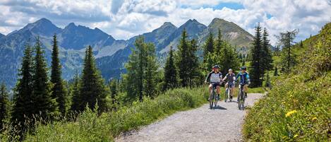 A gravel path with cyclists, surrounded by greenery and mountains.