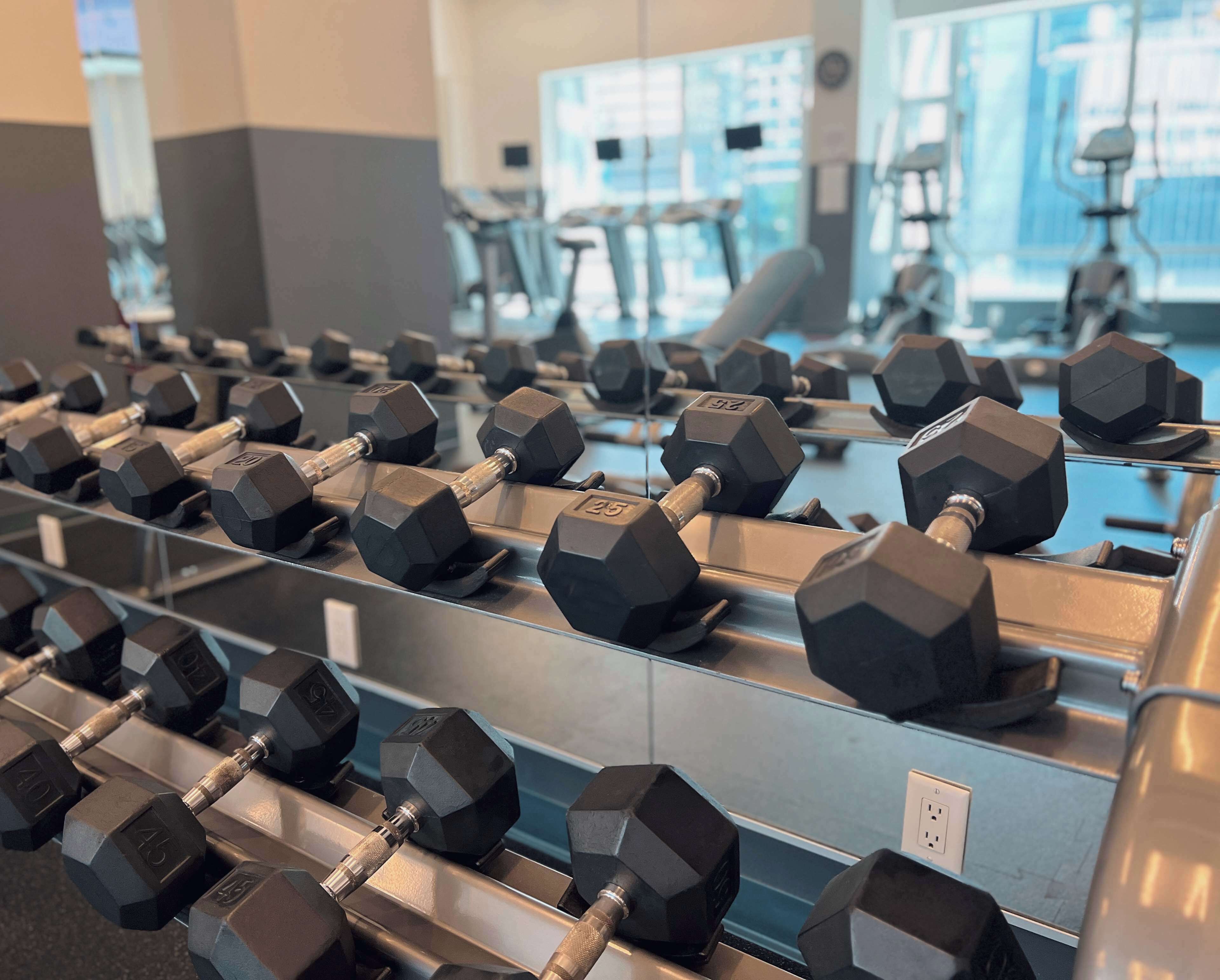 Eine Reihe hexagonaler Hanteln auf einem Gestell in einem Fitnessstudio mit großen Fenstern im Hintergrund.