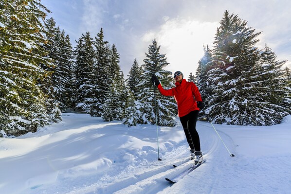 Una persona esquiando por un sendero cubierto de nieve, flanqueado por árboles de hoja perenne.