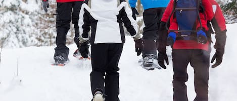 Un grupo de personas caminando con raquetas de nieve en un bosque nevado.