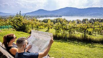 A couple sitting on a bench outdoors with a map, surrounded by a vineyard and a lake view.