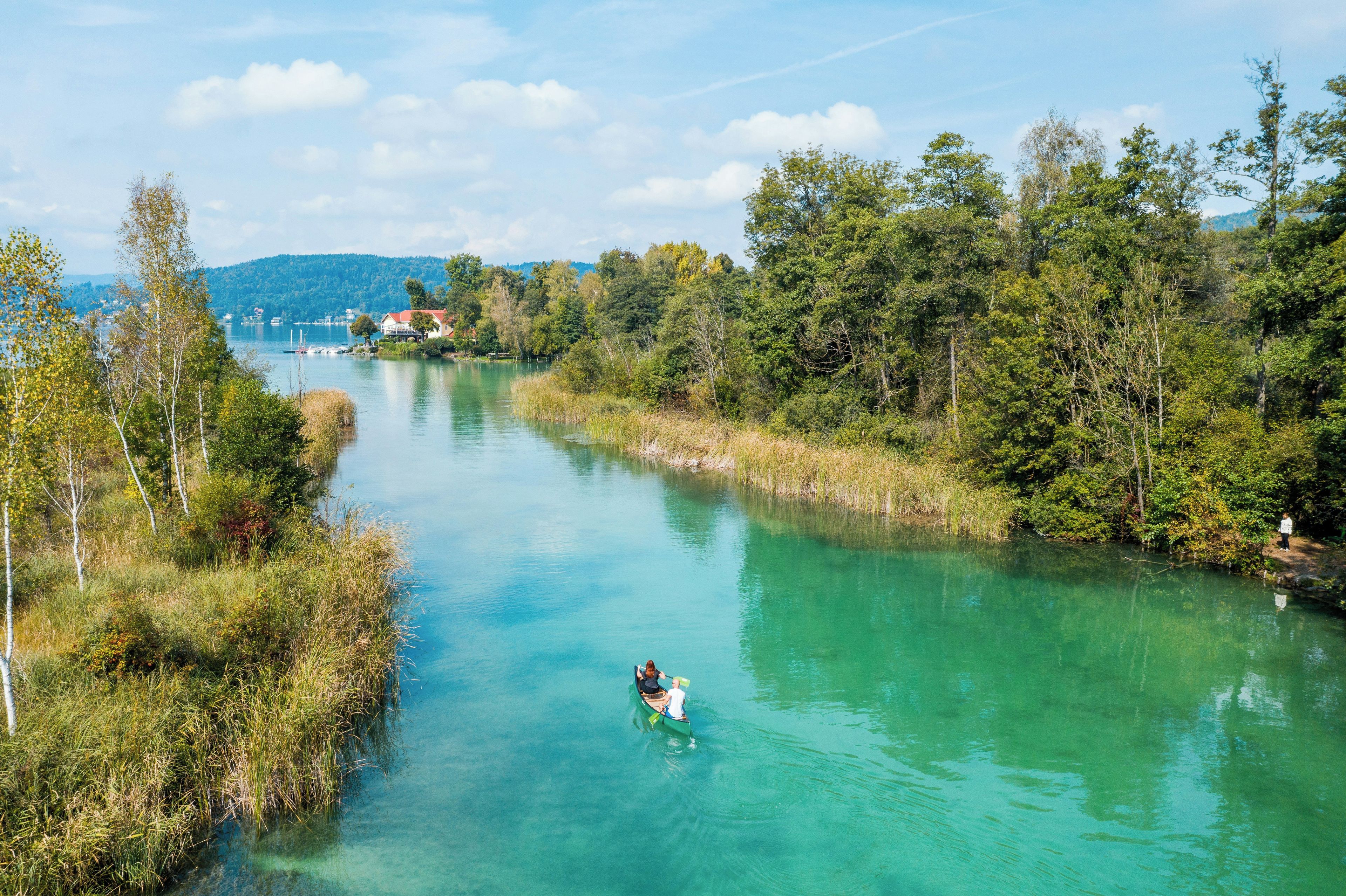Ein Fluss mit klarem Wasser, umgeben von dichtem Grün und Bäumen.