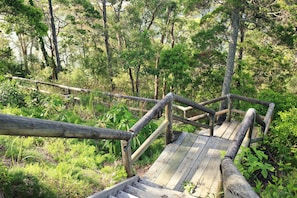 Jardim