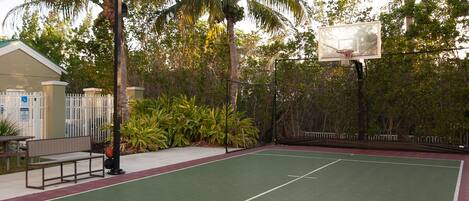 An outdoor basketball court with a green surface, surrounded by palm trees and a fence.
