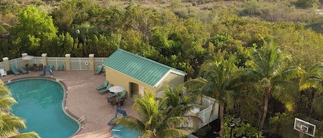 A swimming pool area with lounge chairs, a small building, and a basketball court surrounded by palm trees and greenery.