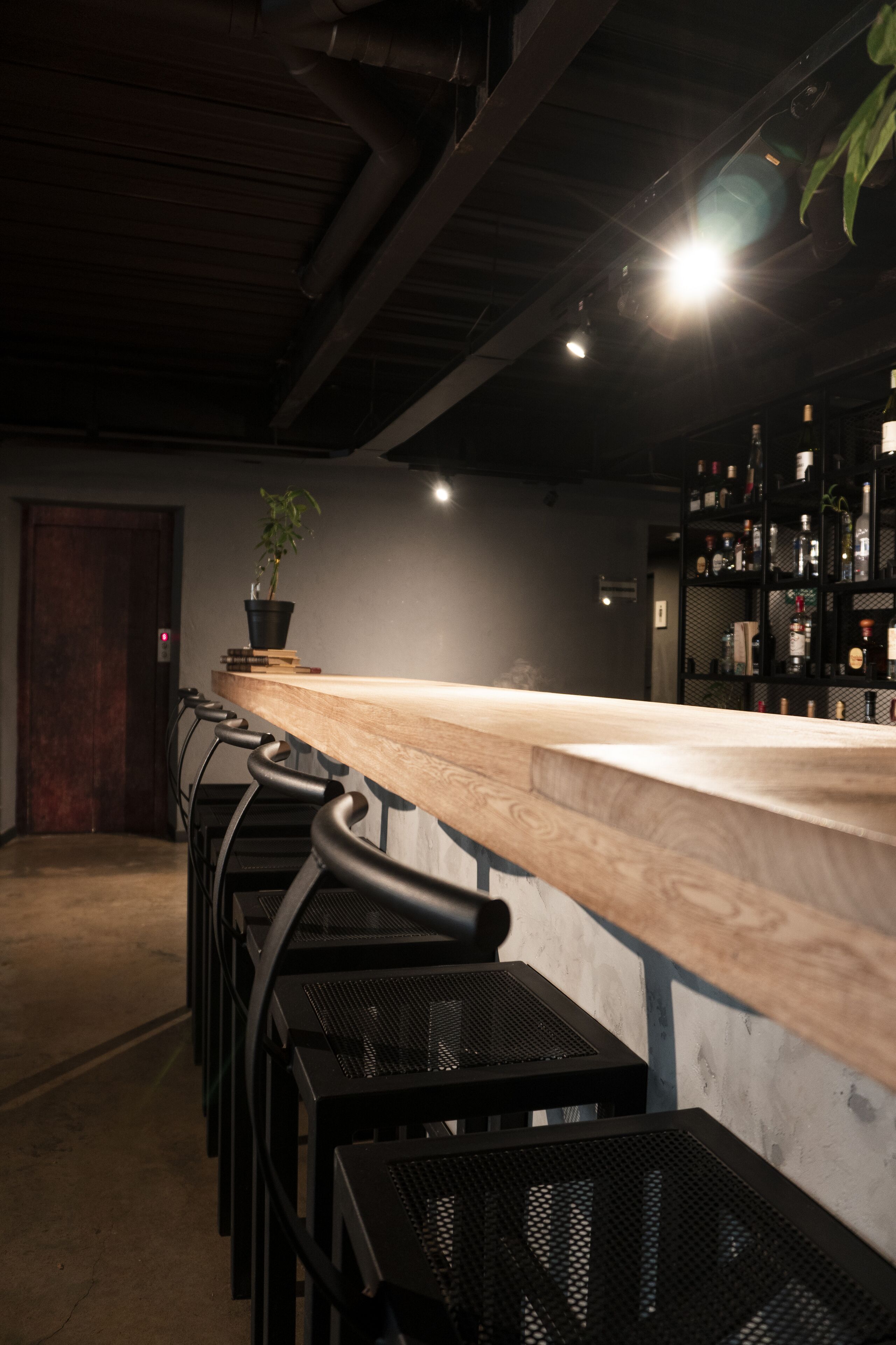 Una zona de bar con una barra larga, sillas de metal negro, una planta en maceta y estantes con botellas.