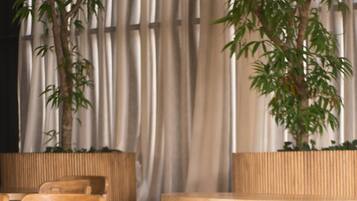 Un comedor con sillas de madera y una mesa, una planta de bambú y un fondo de cortina.